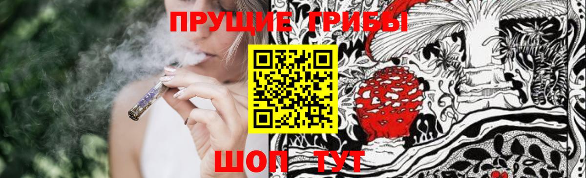 Псилоцибиновые грибы GOLDEN TEACHER  Вход с VPN  Советская Гавань 